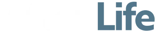 After Life