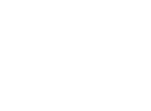 The End of Oak Street