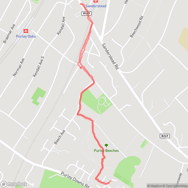 Morning Walk