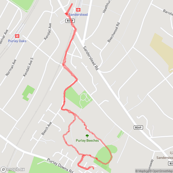 Afternoon Walk
