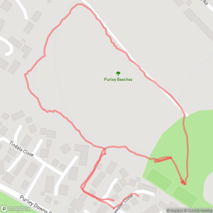 Morning Walk
